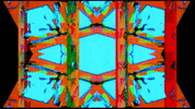 Video Art GIF by cskonopka