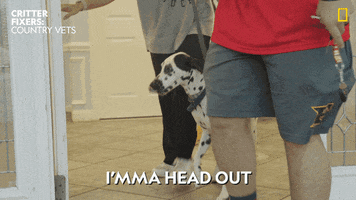 National Geographic Vet GIF by Nat Geo Wild