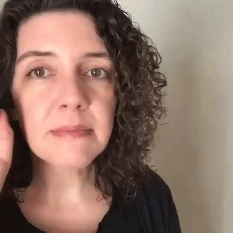 GIF by Brittlestar