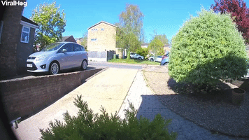 Ring Doorbell Captures Scooter Fail