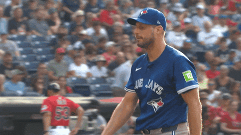 Blue Jays Baseball GIF by Toronto Blue Jays