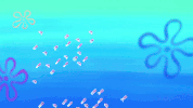 episode 1 GIF by SpongeBob SquarePants