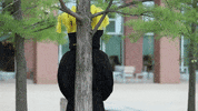 Wu_Shock wu wsu wearamask maskup GIF