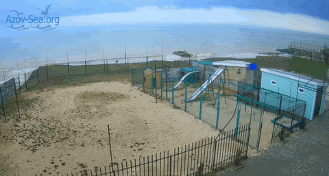 2 aprelya stepanovka GIF