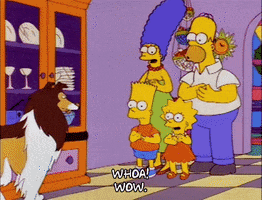 homer simpson episode 20 GIF