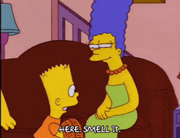 bart simpson episode 20 GIF
