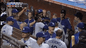 Los Angeles Dodgers GIF by MLB