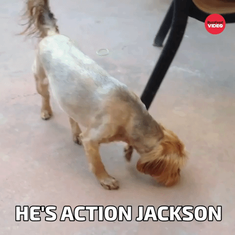 He's Action Jackson