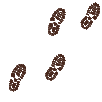 Footprints Sticker by Bonds Aus
