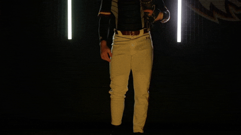 Baseball Juco GIF by Pearl River Athletics