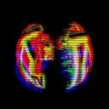 questionmyanswer giphygifmaker GIF