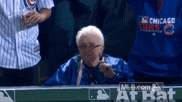 Chicago Cubs Baseball GIF by MLB