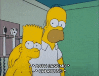 homer simpson GIF