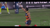 eddie betts GIF by Adelaide Crows
