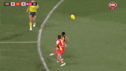 adelaidecrows 2019 banana goal of the year eddie betts GIF