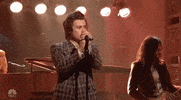 harry styles GIF by Saturday Night Live