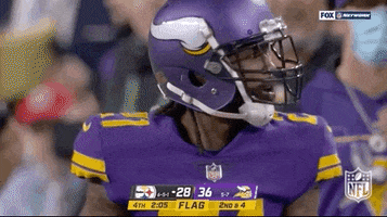 Minnesota Vikings Football GIF by NFL