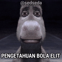 Sedseda GIF