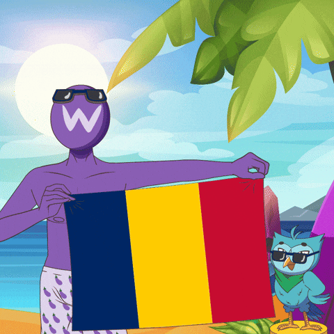 Flag Of Chad Chat GIF