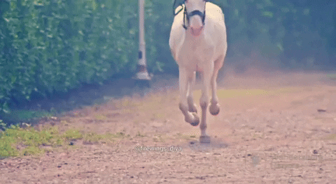 firewings_diya chand jalne laga chandjalnelaga GIF