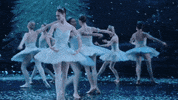 Nutcracker GIF by English National Ballet