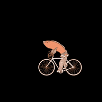 quallig fun basketball what sunglasses GIF