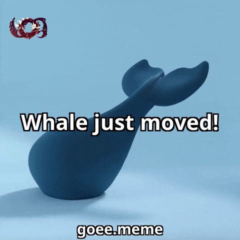 Market Whale GIF by Goeememe