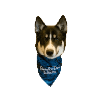 Siberian Husky Embroidery Sticker by Geekster Pets