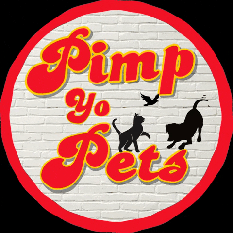 Pimp123 GIF by Pimp Yo Pets