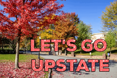 villaromaresort giphygifmaker travel family vacation i love new york GIF