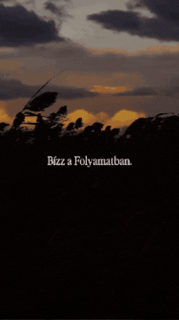 Bizalom GIF by Folyamat