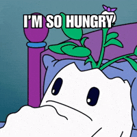Hungry Feed Me GIF by Magic Eden