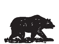 Bears Msu Sticker by Missouri State Residence Life