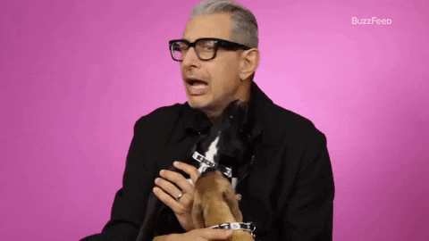 Lady Gaga Puppy GIF by BuzzFeed