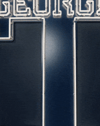 Georgia Tech Baseball GIF by Georgia Tech Yellow Jackets