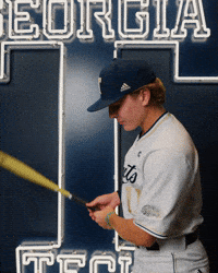 Georgia Tech Baseball GIF by Georgia Tech Yellow Jackets