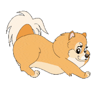 Dog Pets Sticker