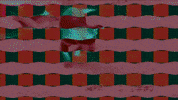Dog Glitch GIF by DADA WESTERN THE DESTROYER