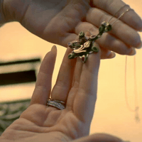 Showtv GIF by Eccho Rights