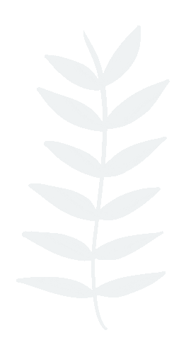 Leaf Boho Sticker