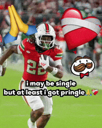 Miami Canes GIF