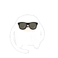 Illustration Sunglasses Sticker by Noodoll