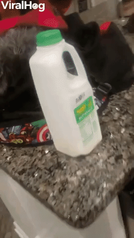 Kid Tries Buttermilk