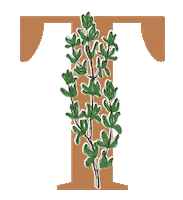 yerbaverdeflor flower flowers argentina flores Sticker