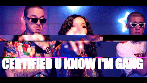 cardib #traplatino #dr #puertorico #bunny #gangganggang #20+slay GIF