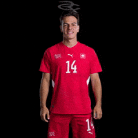Fifa World Cup Switzerland GIF by Respective