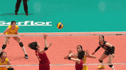 Happy Group Hug GIF by Volleyball World