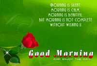 morning glory GIF