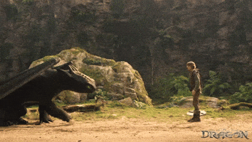Friendship Dragons GIF by How To Train Your Dragon