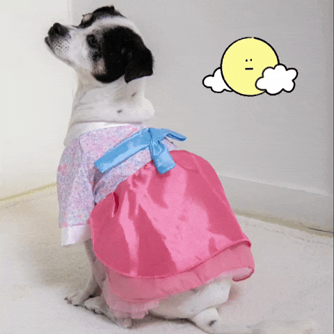 Korean GIF